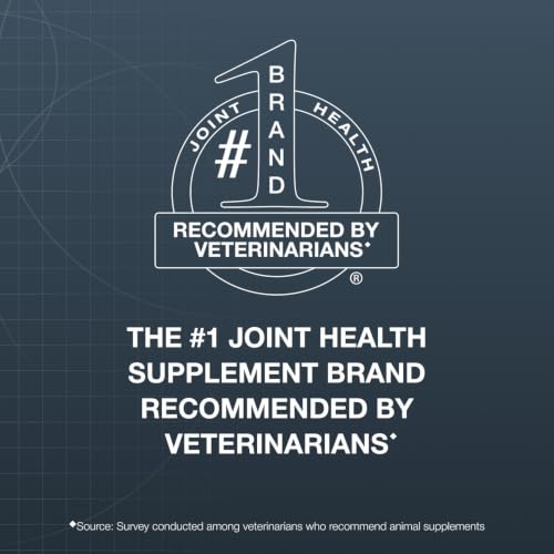 Nutramax Dasuquin Senior Joint Supplement for Large Dogs Soft - Product Imagery
