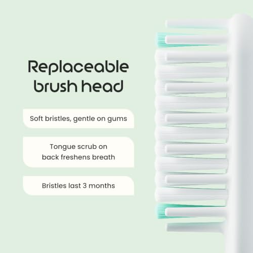 Quip Sonic Toothbrush for Adults with Timer - Includes Extra - Product Imagery