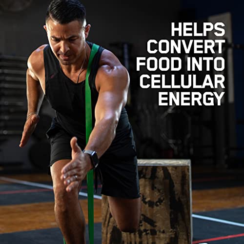Optimum Nutrition Zinc and Magnesium Aspartate Recovery - Product Imagery