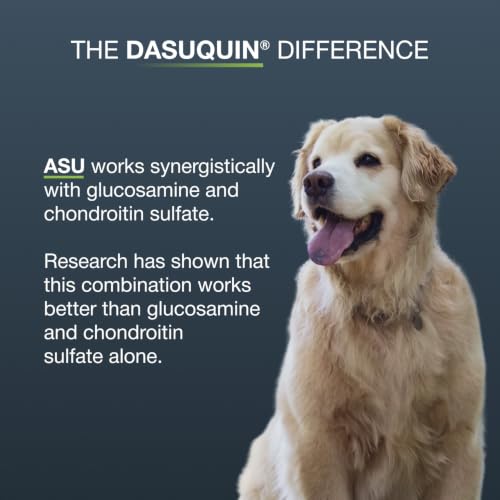 Nutramax Dasuquin Senior Joint Supplement for Large Dogs Soft - Product Imagery