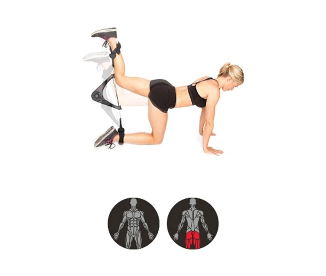 OYO Fitness OYO Personal Gym - Full Body Portable Gym: Home, Office or Travel - NASA SpiraFlex Resistance Technology – p