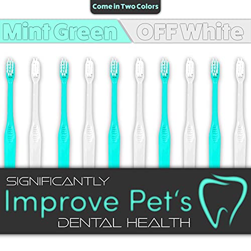 H&H Pets Toothbrush for Small Dogs & Cats - Soft and Extra Small - Product Imagery