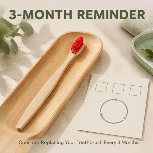 10 Vibrant Colors Bamboo Toothbrushes | BPA Free Soft Bristles - Product Imagery