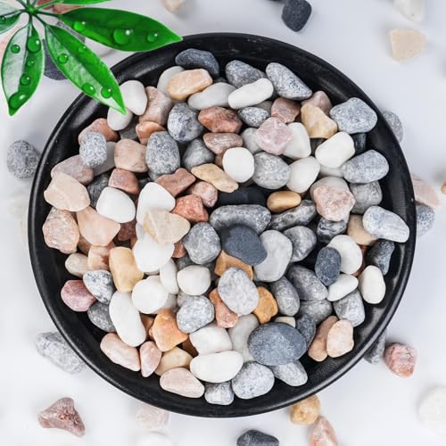 SIDONG 10 LB Natural Mixed Color Gravel Pebbles, 2/5 Inch Small Pea Gravel Stones, Decorative River Rocks for Succulents