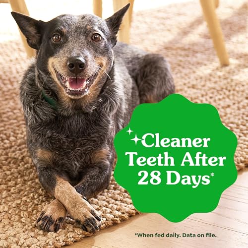 Greenies Petite Natural Dental Dog Treats, Blueberry Flavor, 20 - Product Imagery