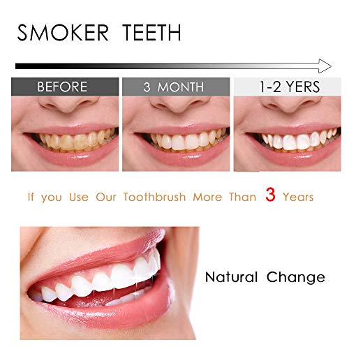 DR PERFECT Adult Smoker’s Toothbrushes Firm Toothbrush Super - Product Imagery