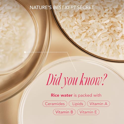 The Face Shop Rice Water Bright Travel Kit, Korean Skin Care Set - Product Imagery