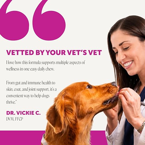 10-in-1 Dog Multivitamin Supplement with Glucosamine & - Product Imagery