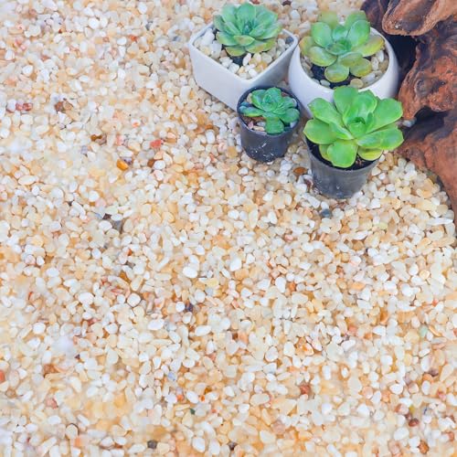 CJGQ 18lb Aquarium Gravel for Plants,1/5 Inch Natural Decorative River Rocks for Succulent and Cactus Landscaping, Natur