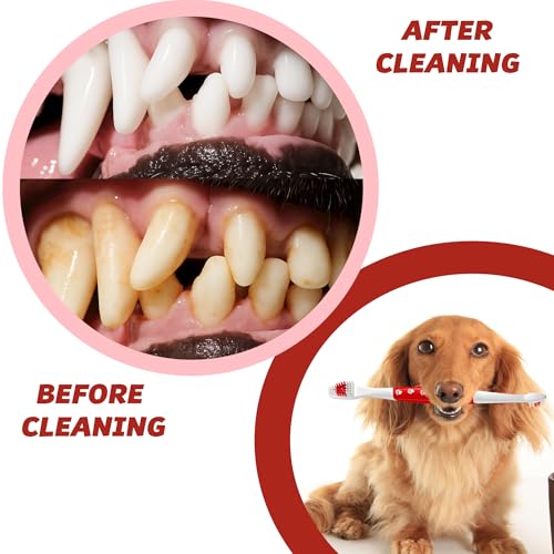 Pet Toothbrush for Dogs, Cats with Soft Bristles - Easy Teeth - Product Imagery