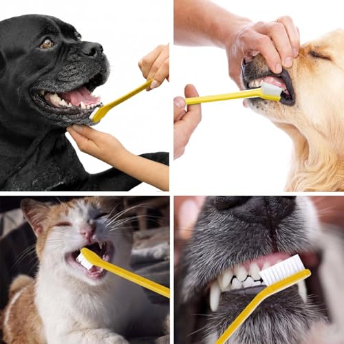 Pet Republique Dog Toothbrush Set of 3 – Dual Headed Dental - Product Imagery