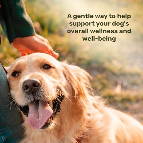Badlands Ranch Super Daily Wellness Soft Chews for Dogs, 60 Chews - Product Imagery
