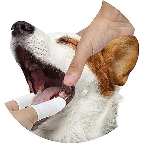 Pet Republique Soft Fabric Finger Toothbrush Kit for Dogs and - Product Imagery