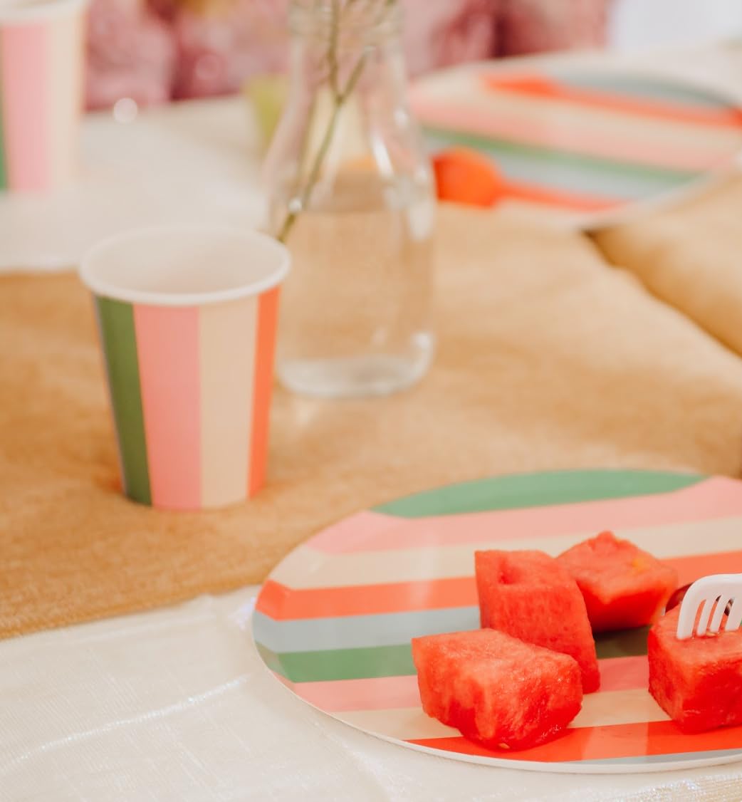 Vibrant Striped Party Pack | Plates, Cups & Napkins for 12 Guests | Pop Party Supplies – back view and specifications