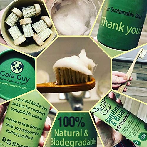 Gaia Guy Natural Bristle Bamboo Toothbrush (NO Nylon - Boar Hair - Product Imagery