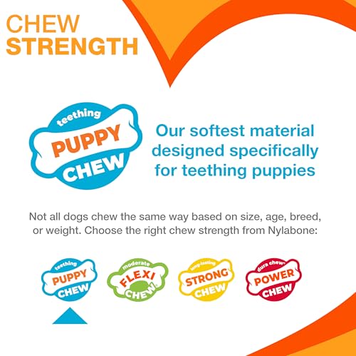 Nylabone Puppy Pacifier Chew Toy, Teething Toys for Puppies up - Product Imagery
