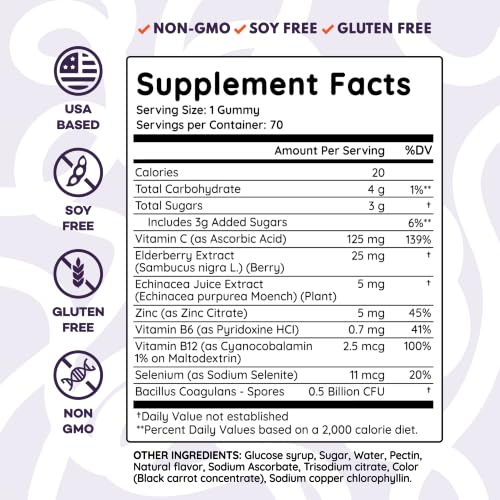 PAYÉ Elderberry Gummies, Vitamin C Immune Support Supplement + - Product Imagery