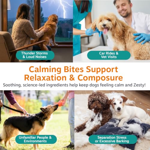 Zesty Paws Calming Chews for Dogs - Dog Calming Supplement, PB, - Product Imagery