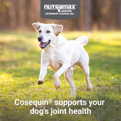 Nutramax Cosequin Joint Supplement for Dogs, Chewable Tablets, - Product Imagery