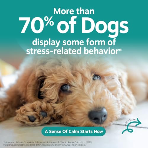 Zesty Paws Calming Chews for Dogs - Dog Calming Supplement, PB, - Product Imagery