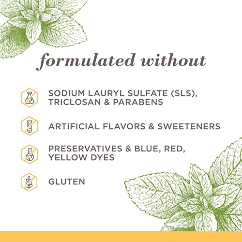 Burt's Bees Toothpaste, Natural Flavor, Fluoride-Free, Purely - Product Imagery