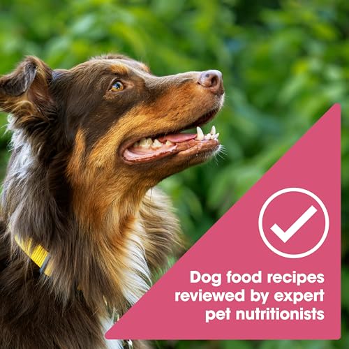 Nature's Recipe Grain Free Salmon Dry Dog Food, 4 lb. Bag - Product Imagery