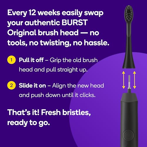 BURST Genuine Replacement Heads for Original Sonic Toothbrush - Product Imagery