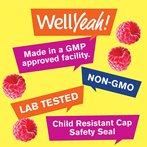 WellYeah Melatonin Gummies 5 mg 2 Pack - Raspberry Flavor - - Product Imagery