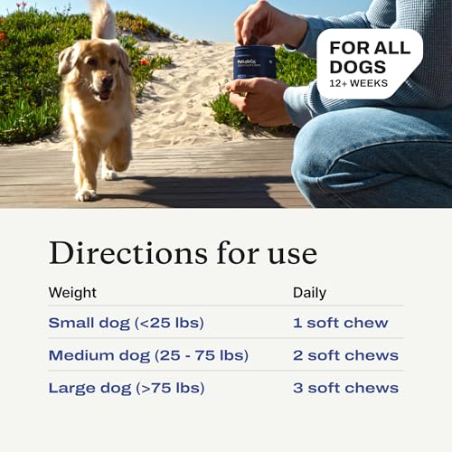 PetLab Co. Joint Care Chews for Dogs, 30 Soft Chews, Salmon - Product Imagery
