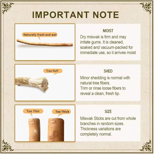 Miswak Sticks for Teeth Pack of 2 - Vacuum Sealed Traditional - Product Imagery