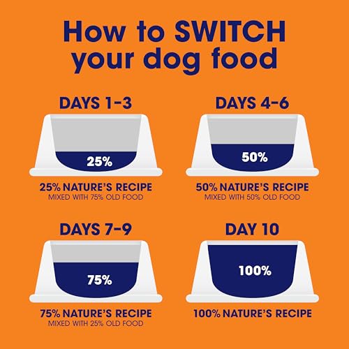 Nature's Recipe Grain Free Salmon Dry Dog Food, 4 lb. Bag - Product Imagery
