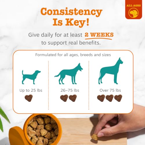 Zesty Paws Calming Chews for Dogs - Dog Calming Supplement, PB, - Product Imagery