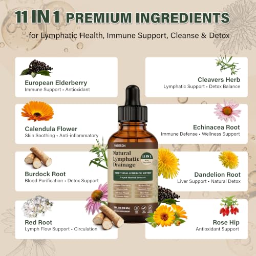 90 Day Supply - Natural Lymphatic Drainage Drops, Alcohol-Free - Product Imagery