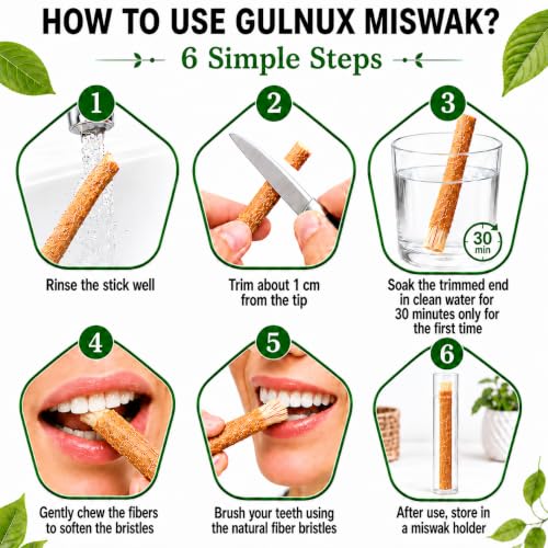 Miswak Sticks for Teeth Pack of 12 with Holder - 100% Natural - Product Imagery