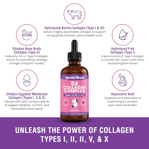 Premium Collagen for Dogs - Liquid Support for Joints, Skin, - Product Imagery