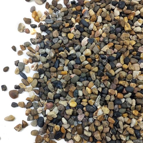 SHIZWU 10LB Aquarium Gravel, 1/4" Pea Gravel for Fish Tank, Small River Rocks for Garden Decoration, Landscaping, Va