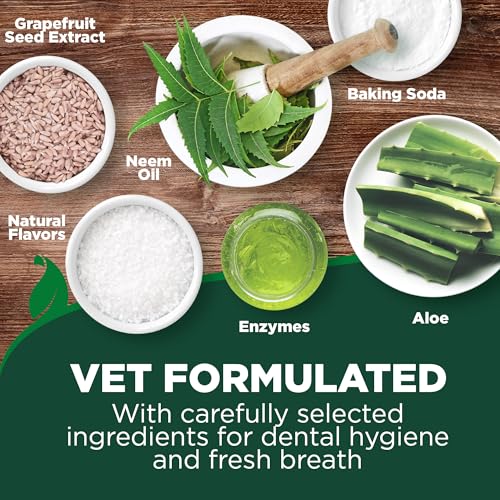 Vet's Best Dog Toothpaste & Toothbrush Dental Care Kit, With - Product Imagery