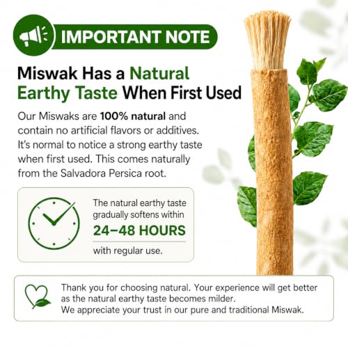 Miswak Sticks for Teeth Pack of 12 with Holder - 100% Natural - Product Imagery