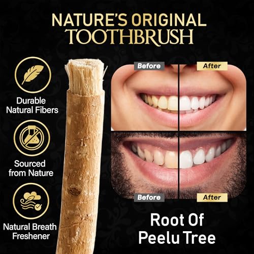 Al Falah Sewak Natural Miswak Toothbrush - 2 Sticks and 1 Holder - Product Imagery