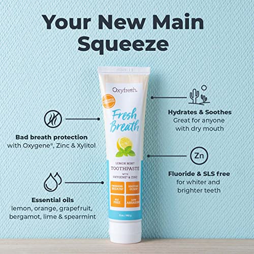 Oxyfresh Maximum Fresh Breath Lemon Mint Toothpaste - Clean - Product Imagery