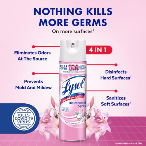 Lysol Disinfectant Spray, Sanitizer, Morning Breeze, 19 oz, 2 - Product Imagery