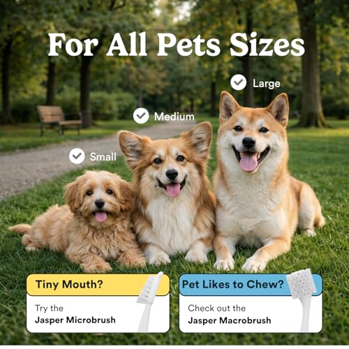 Jasper Dog Toothbrush, 360° Finger Toothbrush for Dogs & Cats, - Product Imagery