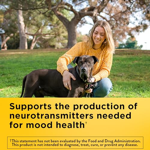 Nature Made Vitamin B6 100mg, 100 Tablets - Product Imagery