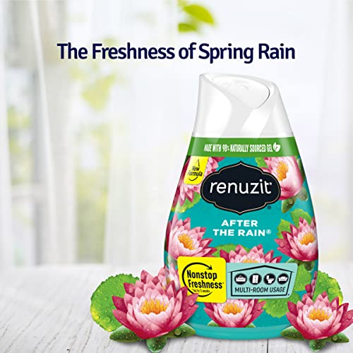 Renuzit Adjustable Gel Air Freshener Cone, After the Rain Scent, - Product Imagery