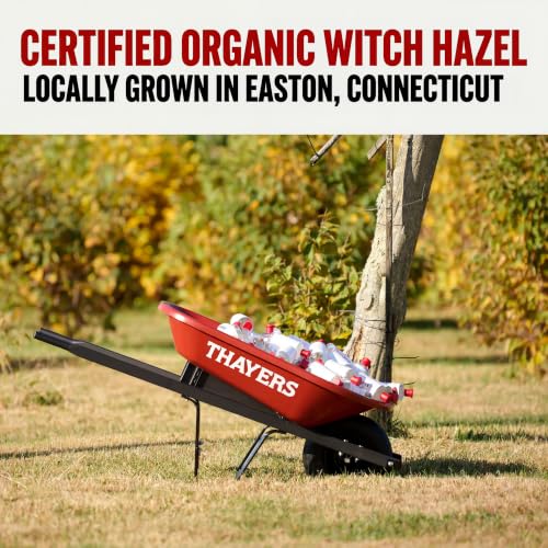 THAYERS Witch Hazel Facial Toner, Hydrating Rose Petal Toner, 12 - Product Imagery