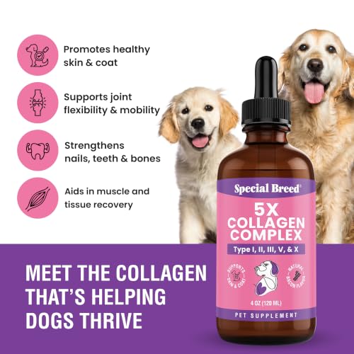 Premium Collagen for Dogs - Liquid Support for Joints, Skin, - Product Imagery