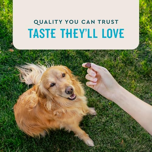 VetIQ Max Strength Hip & Joint Chews for Dogs, 90ct - Product Imagery