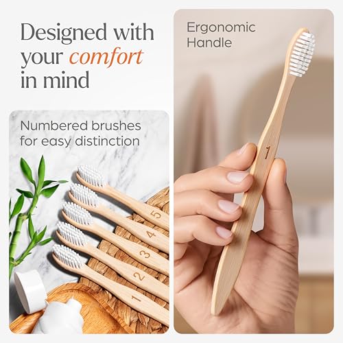 VIVAGO Extra Hard Toothbrushes for Adults - 10 Pack - Product Imagery