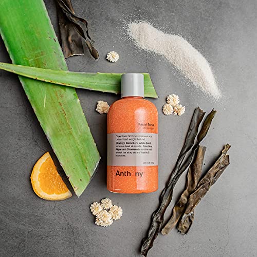 Anthony Algae Facial Cleanser, Facial Scrub, Blue Sea Kelp Body - Product Imagery