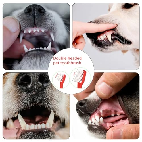 Dog Toothbrush Set of 8 – Dual Headed Dental Hygiene Brushes for - Product Imagery